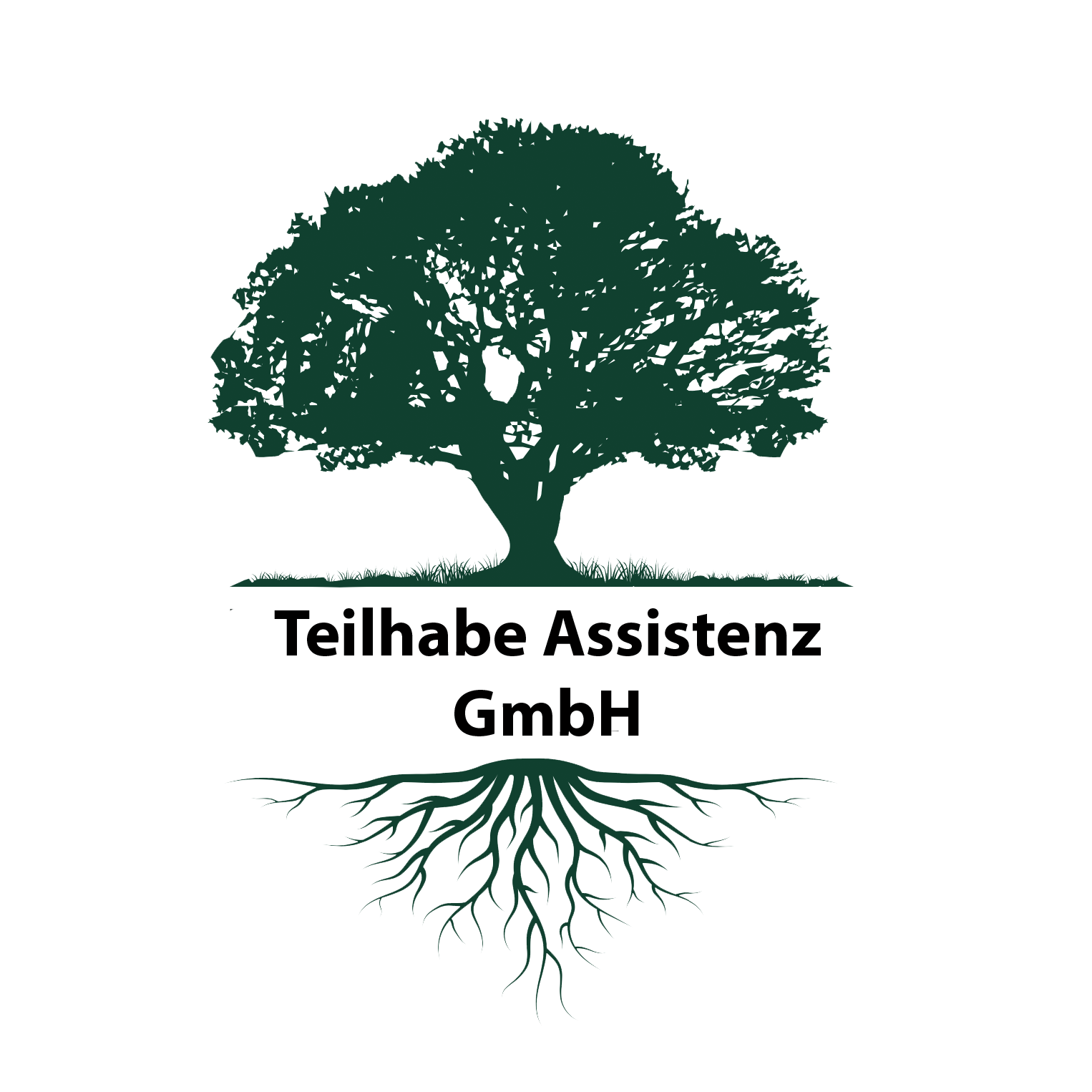 Wissen Teilhabe Assistenz